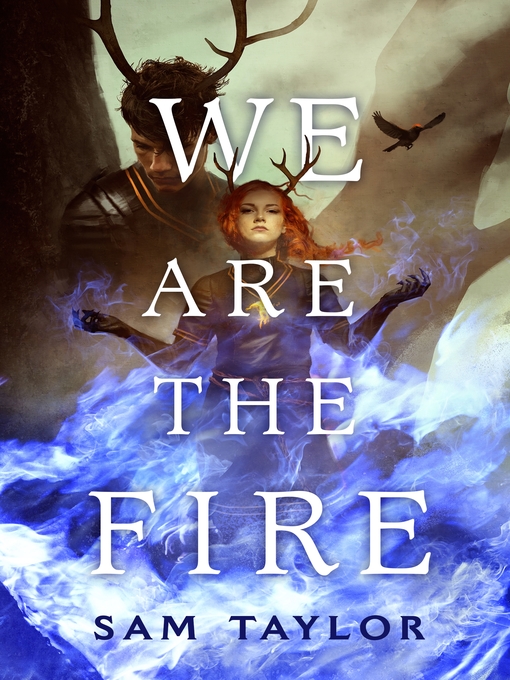 Title details for We Are the Fire by Sam Taylor - Wait list